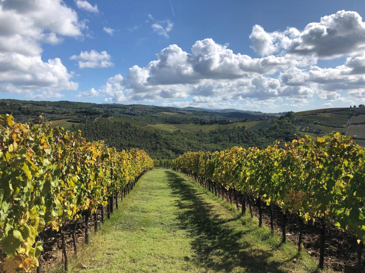 Fattoria Di Rignana Winery Bnb Греве ин Кианти Екстериор снимка