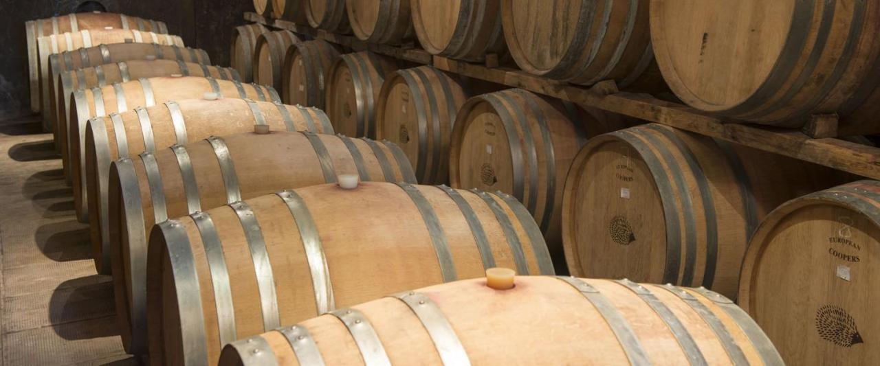 Fattoria Di Rignana Winery Bnb Греве ин Кианти Екстериор снимка