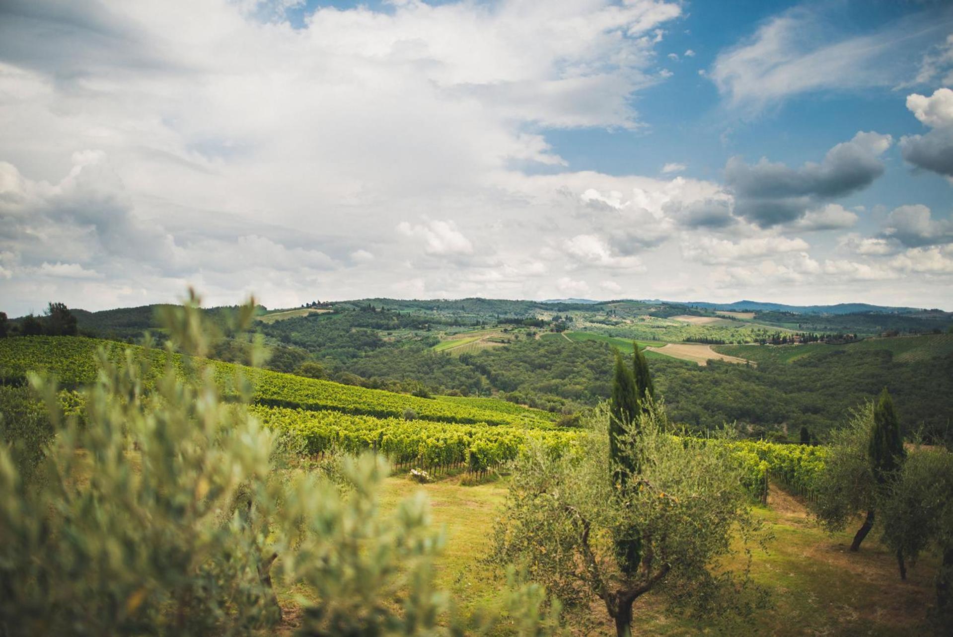 Fattoria Di Rignana Winery Bnb Греве ин Кианти Екстериор снимка