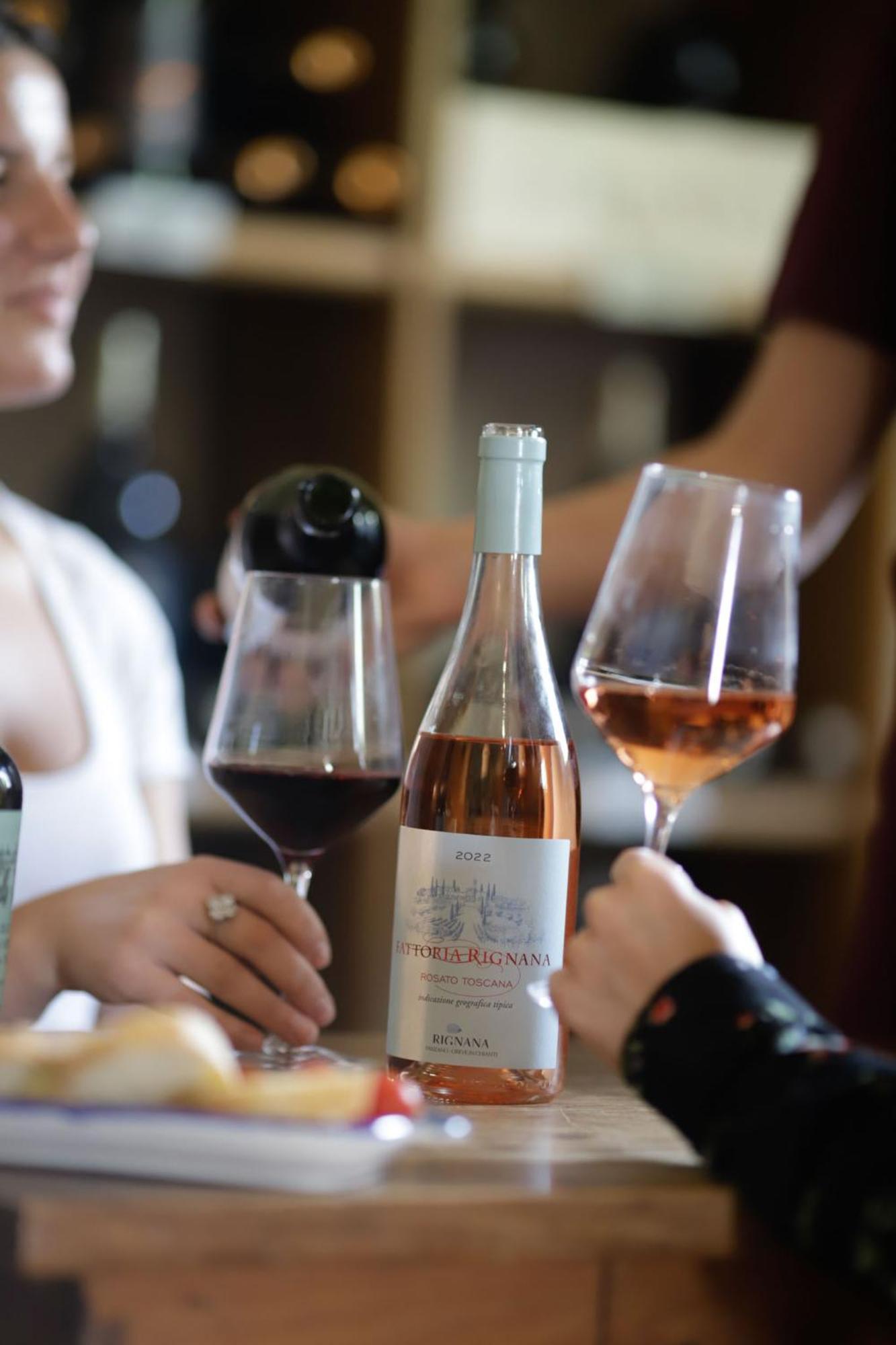 Fattoria Di Rignana Winery Bnb Греве ин Кианти Екстериор снимка