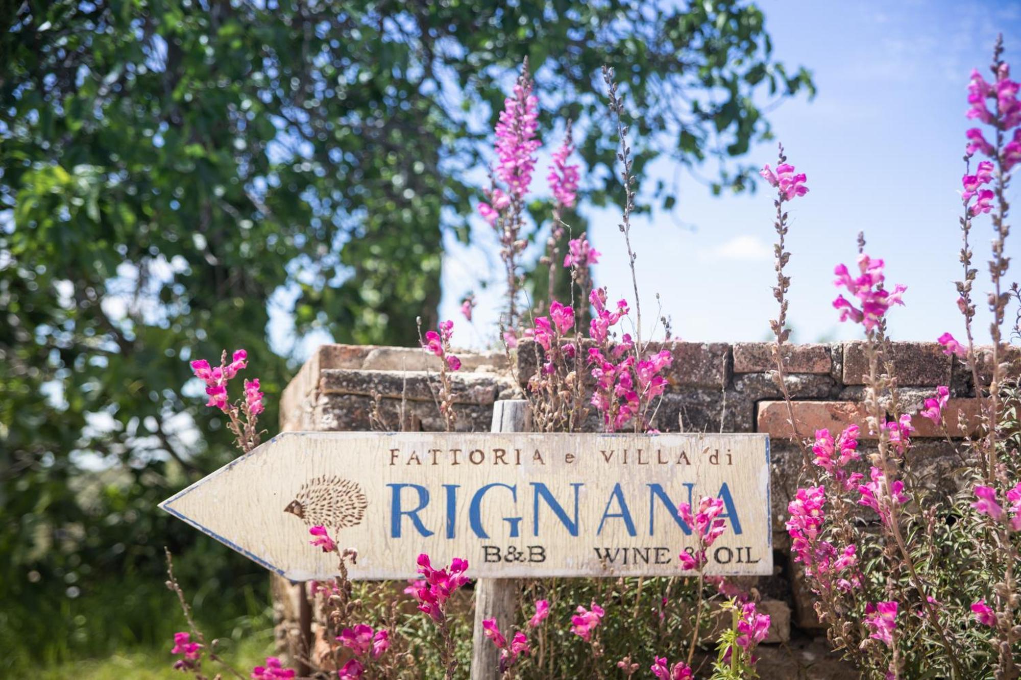 Fattoria Di Rignana Winery Bnb Греве ин Кианти Екстериор снимка